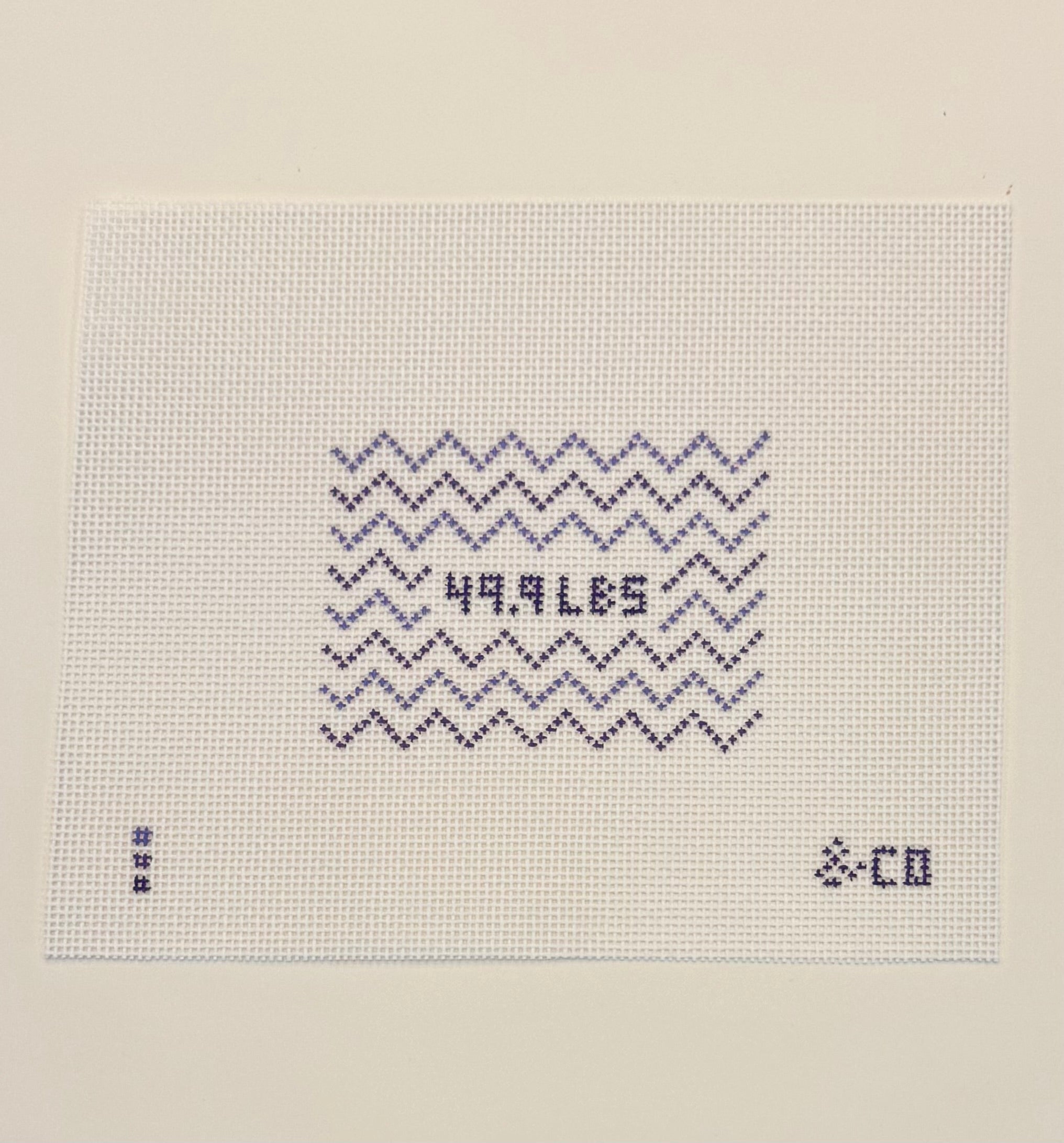 "49.9" Luggage Tag