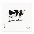 Black and White Cow