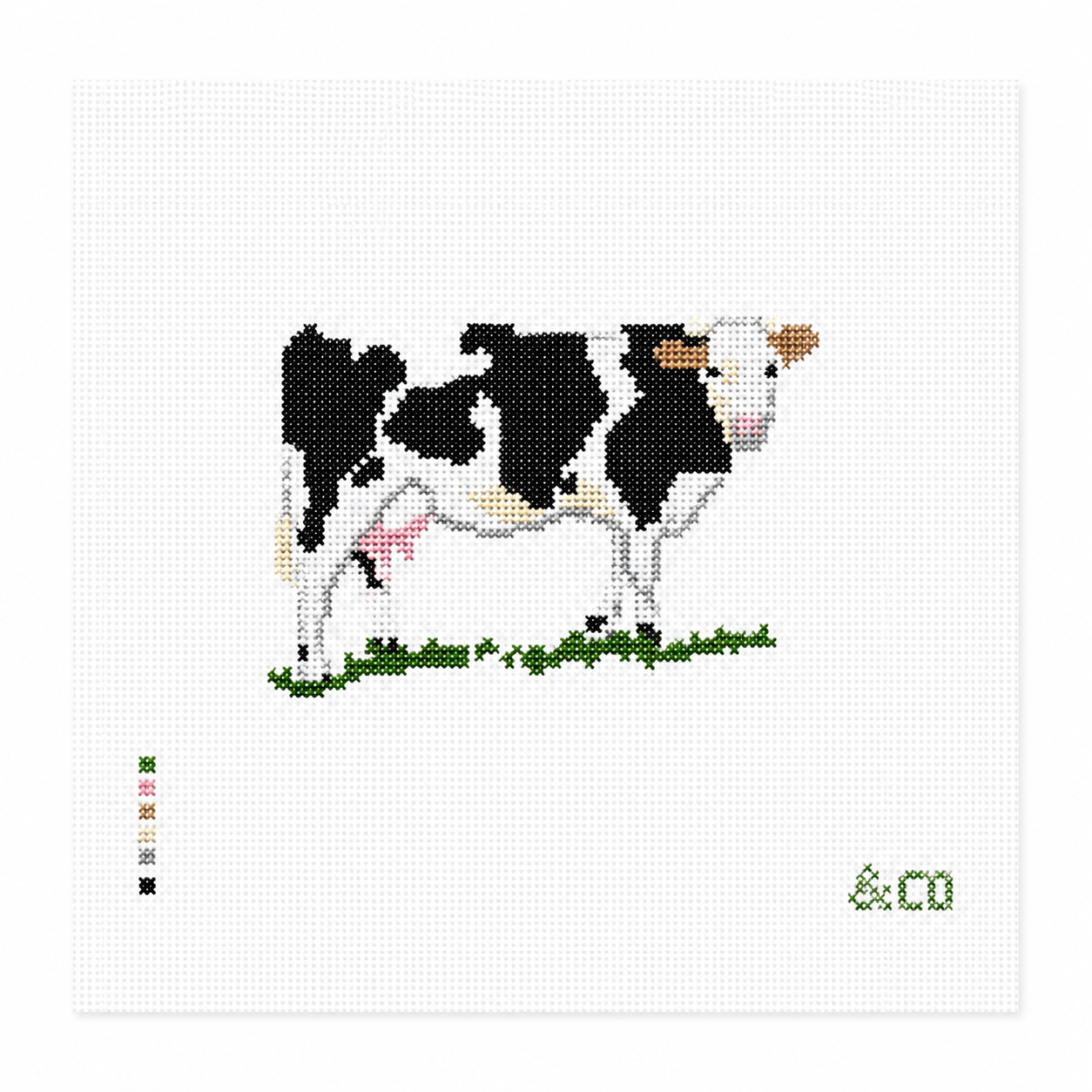 Black and White Cow